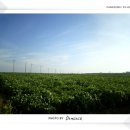 고산수월봉 이미지