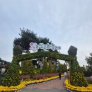 유성 국화축제 | ✨ 가을 낭만 가득! 대전 유성국화축제 방문 후기 🌼