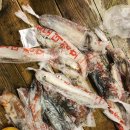 완도 밤야식 이미지