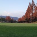 남서울골프연습장 이미지