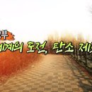 특집다큐 기후 위기 대응 탄소사회의 종말 [2부. 세계의 도전, 탄소 제로] 이미지