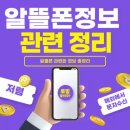 알뜰폰 요금제 번호 이동 개통 및 소액결제와 해외 알뜰폰 문자 사용 방법