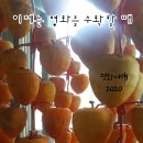 평화여행 2020 발기인 김종석 선생님의 ＜역사속의 오늘 : 10. 5＞ 이미지