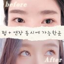 모이니네일 | 대전 탄방동 속눈썹펌 연장과 펌을 동시에 펌포인트 저렴하게 예약