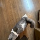 성곡중학교 | 대구용한점집 신년사주 나만알고싶은 청룡암 별상천신궁