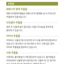 에스테라 이미지