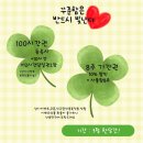 부산 영도구 대교동 스터디카페 화이트펜슬 스터디카페 영도대교점 리뷰 버스정류장 가는길