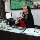 부론초등학교 이미지