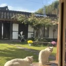 영풍치킨 모란점 | 전라남도 담양군 2박3일 下편