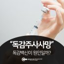 펠리시떼 이미지