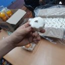 탁구 야간 이미지