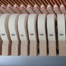 비파음악학원 이미지