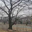 원신근린공원 (2) 이미지