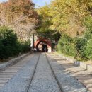 와인터널 이미지