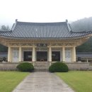김경룡 카카오 검색결과