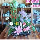 힐링 플라워 꽃꽂이 이미지