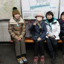 선경사슴 이미지