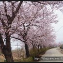 햇빛촌 농원 네이버블로그