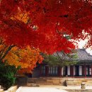 송학사 이미지