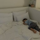 수영목장 | 아기랑 충주여행_브리앤츠풀빌라 솔직후기
