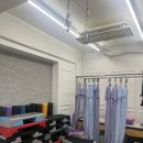 무브먼트 | 성신여대플라잉요가 더센트럴무브먼트 후기