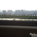 금산신도시공인중개사사무소 Daum카페