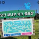 해나루 파크골프장 네이버블로그