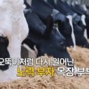 혜화목장 이미지