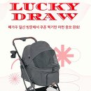 (주)펫앤펫츠 이미지