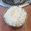 애막골 | 춘천 갈비 맛집 | 춘천 돼지갈비, 소갈비 1티어 ‘일선갈비 애막골점’ 솔직후기 🍖