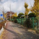 서학동예술마을 이미지