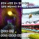 사)강원특별자치도지체장애인협회 춘천시지회 | 🚂춘천 여행 놀거리 추천! 비 오는 날 달려본 김유정 레일바이크 후기(+운행 시간 및 탑승 정보)