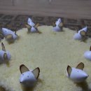 야간)제과기능사 이미지