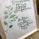 [시민] 캘리그라피 네이버블로그