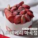 프레베리 - 고양시 덕양구 서오릉로 425 | 프레베리 마곡케이크 내돈내산 솔직 후기, 미니프레베리 예약 후기, 발산 케이크 맛집 추천