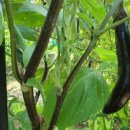 웰빙부동산공인중개사사무소 이미지