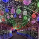 눈꽃어린이공원 | 청도여행 청도 프로방스 빛축제 눈꽃축제