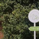 스테이숲숲 이미지