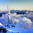 2월14일(토) 덕유산 눈꽃산행/둑보&비박대장님 이미지