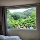 스테이숲숲 이미지