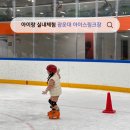 서진정비 | 6살아이와 광운대 아이스링크장 후기