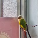 369당구장 | 새벽 6시 오픈하는 해운대 근처 중국집 맛집 태주반점