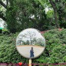 YOUNG 골프연습장 이미지