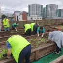 세류1동행정복지센터 이미지