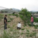 도평2리경로당 이미지