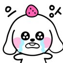 인투그린 이미지