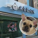 (11/25)반려동물 수제간식 멍치킨 | [오늘뿐이개] - 반려견 수제간식&amp;케이크 전문 방문 후기 (은평구 역촌동 강아지 케이크)