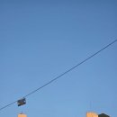 24시PC방 | 주말순삭; 24시만화방 후기