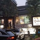 법인감나무