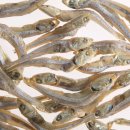 서원동-4 이미지